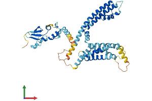 Protein Structure (PS) image for Potassium Voltage-Gated Channel, Subfamily G, Member 3 (KCNG3) (AA 1-436) protein (His tag) (ABIN7548705)