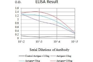 Black line: Control Antigen (100 ng),Purple line: Antigen (10 ng), Blue line: Antigen (50 ng), Red line:Antigen (100 ng) (nectin-3 抗体  (AA 282-404))