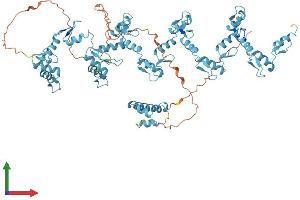 Protein Structure (PS) image for Zinc Finger Protein 184 (ZNF184) (AA 1-751) protein (His tag) (ABIN7545645)