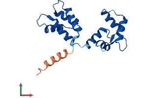 Protein Structure (PS) image for Centrin, EF-Hand Protein, 3 (CETN3) (AA 1-167) protein (His tag) (ABIN7562351)