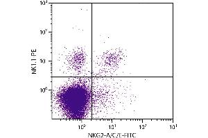 C57BL/6 mouse splenocytes were stained with Rat Anti-Mouse NKG2-A/C/E-FITC  and Mouse Anti-Mouse NK1. (NKG2A/C/E 抗体  (FITC))