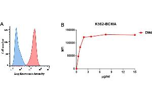 Flow Cytometry (FACS) image for anti-Tumor Necrosis Factor Receptor Superfamily, Member 17 (TNFRSF17) (AA 1-54) antibody (ABIN6961043)