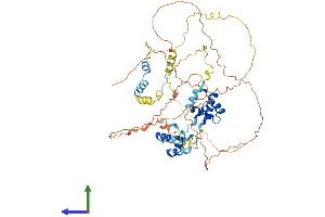 Protein Structure (PS) image for Mesoderm Induction Early Response 1, Family Member 3 (MIER3) (AA 1-550) protein (His tag) (ABIN7549375)