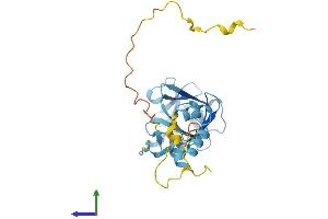 Protein Structure (PS) image for FSHD Region Gene 1 (FRG1) (AA 1-258) protein (His tag) (ABIN7547806)