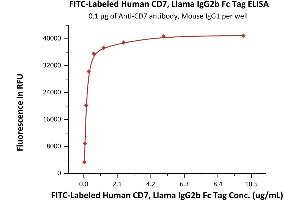 ELISA image for CD7 (CD7) (AA 26-180) (Active) protein (lFc Tag,FITC) (ABIN6973017)