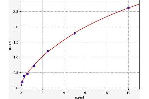 Metalloproteinase Inhibitor 2 (TIMP2) ELISA Kit