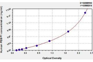 Typical Standard Curve (PEBP1 ELISA 试剂盒)