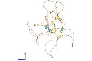 Protein Structure (PS) image for Coiled-Coil Domain Containing 8 (CCDC8) (AA 1-538) protein (His tag) (ABIN7553100)