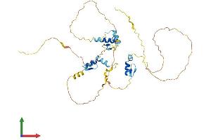 Protein Structure (PS) image for Zinc Finger Protein 385A (ZNF385A) (AA 1-386) protein (His tag) (ABIN7556062)