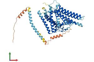 Protein Structure (PS) image for Sterol O-Acyltransferase 1 (SOAT1) (AA 1-540) protein (His tag) (ABIN7557686)