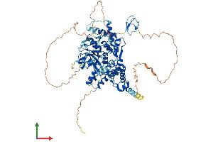 Protein Structure (PS) image for Zinc Finger, RAN-Binding Domain Containing 1 (ZRANB1) (AA 1-708) protein (His tag) (ABIN7556158)