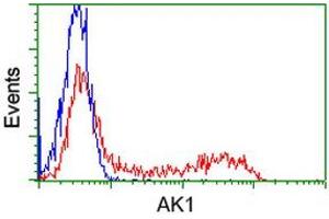 Flow Cytometry (FACS) image for anti-Adenylate Kinase 1 (AK1) antibody (ABIN1496514) (Adenylate Kinase 1 抗体)