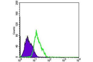 Flow cytometric analysis of PC-2 cells using MSI1 monoclonal antibody, clone 2A12  (green) and negative control (purple).