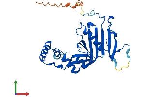 Protein Structure (PS) image for Pyridoxamine 5'-Phosphate Oxidase (PNPO) (AA 1-261) protein (His tag) (ABIN7550836)