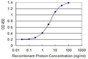 Detection limit for recombinant GST tagged PCDH8 is 0. (Protocadherin 8 抗体  (AA 32-120))