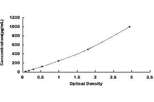 Typical standard curve (BMP2 ELISA 试剂盒)