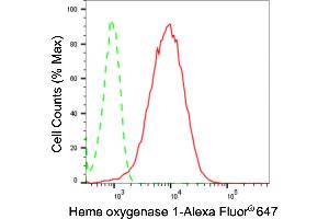 Flow cytometric analysis of Heme oxygenase 1 expression in HepG2 cells using Heme oxygenase 1 antibody (ABIN7798885), 1:2,000). (Recombinant HMOX1 抗体)