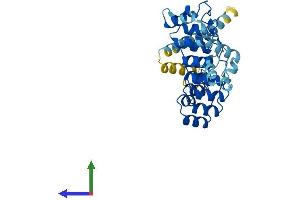 Protein Structure (PS) image for Ankyrin Repeat and SOCS Box Containing 5 (ASB5) (AA 1-329) protein (His tag) (ABIN7552412)