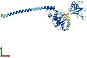 Protein Structure (PS) image for Cytohesin 4 (CYTH4) (AA 1-393) protein (His tag) (ABIN7558448)