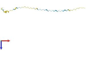 SPRR1A Protein (AA 1-89) (Fc Tag)