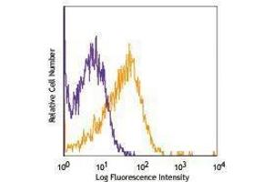 Flow Cytometry (FACS) image for anti-Endoglin (ENG) antibody (PE-Cy7) (ABIN2659411) (Endoglin 抗体  (PE-Cy7))