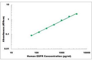 Representative Standard Curve (EGFR ELISA 试剂盒)