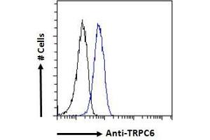 ABIN185460 Flow cytometric analysis of paraformaldehyde fixed A549 cells (blue line), permeabilized with 0. (TRPC6 抗体  (C-Term))