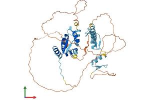 Protein Structure (PS) image for Zinc Finger and BTB Domain Containing 43 (ZBTB43) (AA 1-467) protein (His tag) (ABIN7545524)