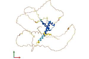 Protein Structure (PS) image for NK2 Homeobox 1 (NKX2-1) (AA 1-372) protein (His tag) (ABIN7563354)