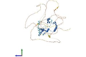 Protein Structure (PS) image for Phosphatase and Actin Regulator 2 (PHACTR2) (AA 1-634) protein (His tag) (ABIN7550667)