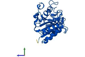 AlphaFold protein structure predicition of Human Recombinant NQO2 Protein, UniprotID P16083