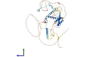 Protein Structure (PS) image for Spermatogenesis Associated 7 (SPATA7) (AA 1-599) protein (His tag) (ABIN7546338)