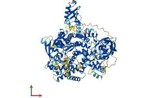 AlphaFold protein structure predicition of Mouse Recombinant Pik3cd Protein, UniprotID O35904
