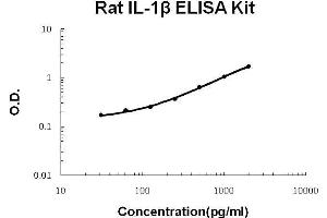 Rat IL-1 beta PicoKine ELISA Kit standard curve (IL-1 beta ELISA 试剂盒)