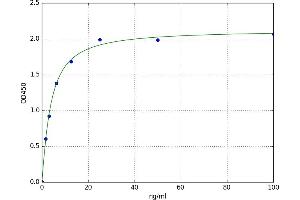Retinol Binding Protein 1, Cellular (RBP1) ELISA Kit