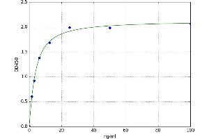 A typical standard curve (RBP1 ELISA 试剂盒)