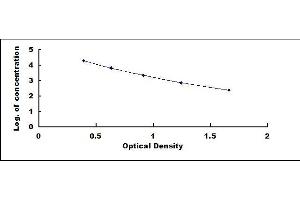 Typical standard curve (Albumin ELISA 试剂盒)