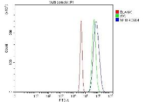 Flow Cytometry analysis of Neuro-2a cells using anti-NFIB/NF1B2 antibody (ABIN7602995).