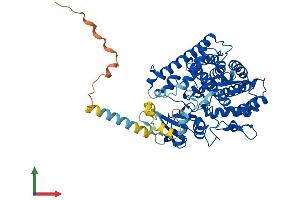 AlphaFold protein structure predicition of Human Recombinant CYP2U1 Protein, UniprotID Q7Z449