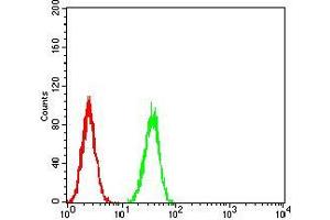 Flow cytometric analysis of A549 cells using LGR5 mouse mAb (green) and negative control (red). (LGR5 抗体  (AA 22-178))