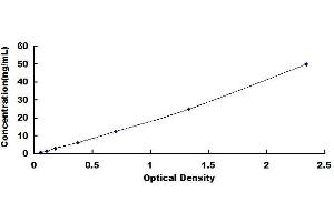 Typical standard curve (ATG5 ELISA 试剂盒)