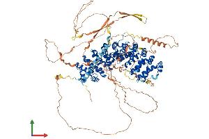 Protein Structure (PS) image for Armadillo Repeat Gene Deleted in Velocardiofacial Syndrome (ARVCF) (AA 1-962) protein (His tag) (ABIN7563573)