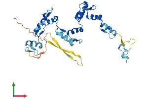 Protein Structure (PS) image for Zinc Finger Protein 771 (ZNF771) (AA 1-317) protein (His tag) (ABIN7545761)