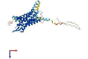 Galanin Receptor 3 (GALR3) (AA 1-368) protein (His tag)