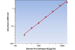 This is an example of what a typical standard curve will look like. (Pro-Cathepsin B ELISA 试剂盒)