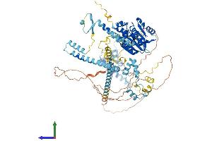 Protein Structure (PS) image for FtsJ Homolog 3 (FTSJ3) (AA 1-838) protein (His tag) (ABIN7561278)