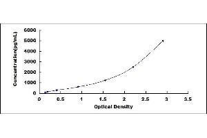 Typical standard curve (P-Selectin ELISA 试剂盒)