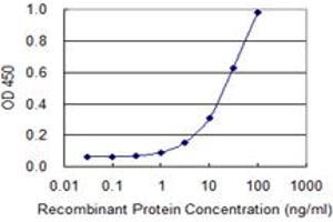 Detection limit for recombinant GST tagged ZNF180 is 0. (ZNF180 抗体  (AA 176-285))