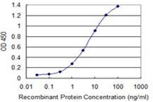 Detection limit for recombinant GST tagged FLJ23834 is 0. (CDHR3 抗体  (AA 776-885))