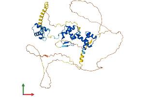 AlphaFold protein structure predicition of Mouse Recombinant Pax3 Protein, UniprotID P24610